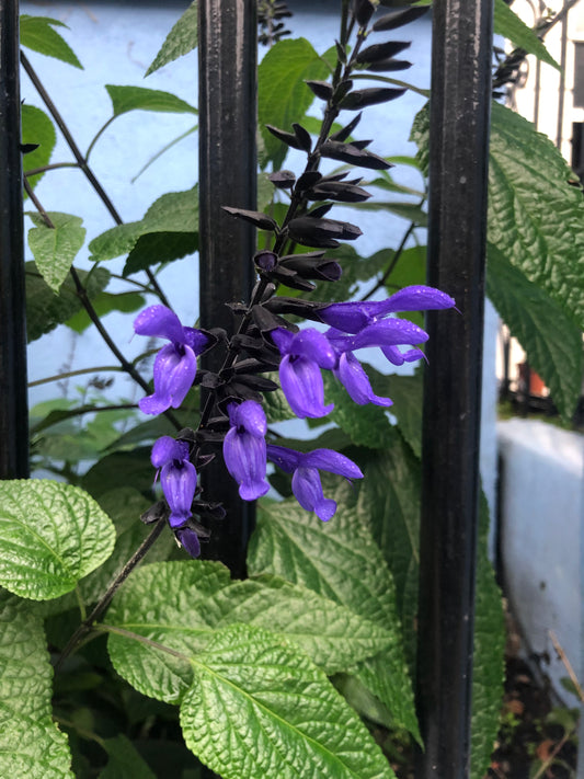 Sports & Rehabilitative Massage