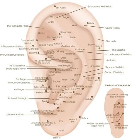 Crystal Auricular Acupressure/Acupuncture - Bush Healing Centre