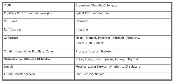 Iridology Consultation - Bush Healing Centre