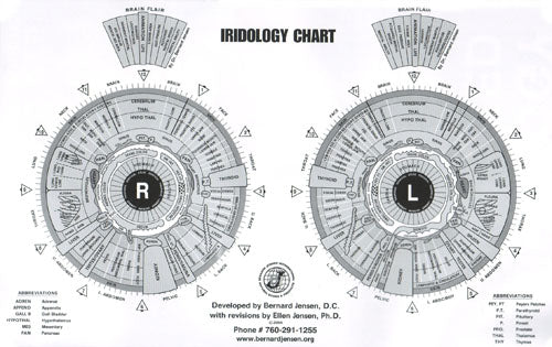 Iridology Consultation - Bush Healing Centre